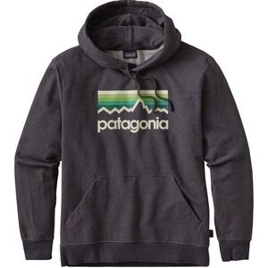 Patagonia Line Logo Midweight Pullover Hoodie - Men's size S color gray